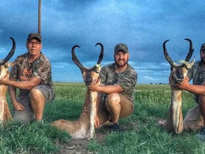 New mexico antelope hunts