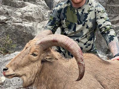 New Mexico Aoudad Hunting Outfitter