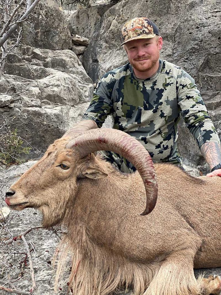 New Mexico Aoudad Hunting Outfitter