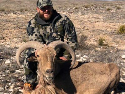 New Mexico Aoudad Hunting