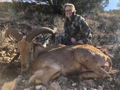 New Mexico Aoudad Hunts