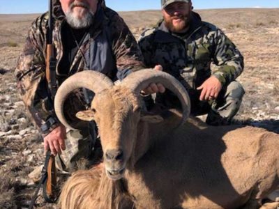 New Mexico Barbary Sheep & Aoudad Hunting Outfitter