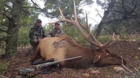 New Mexico Elk Hunting | Monster Elk | Up to 400