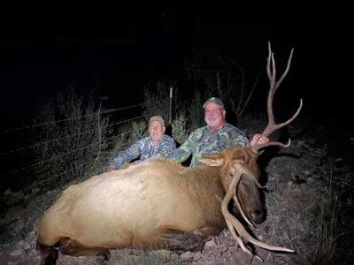 nm elk hunting in new mexico