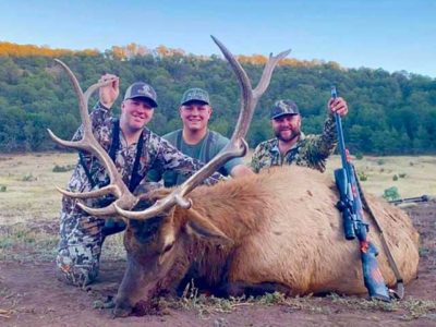 nm elk hunting outfitter