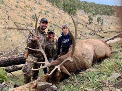 elk hunting outfitter nm