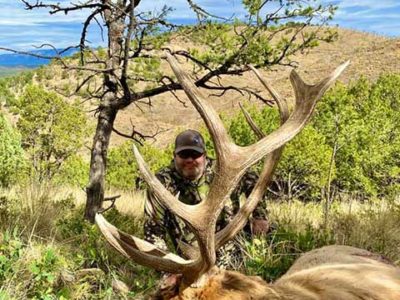 elk hunting outfitter in new mexico