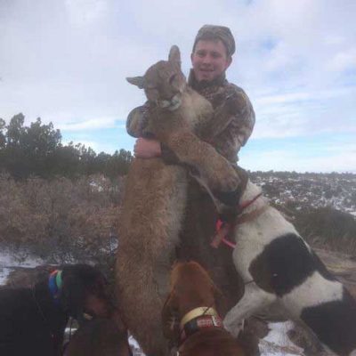 new mexico mountain lion hunting outfitter